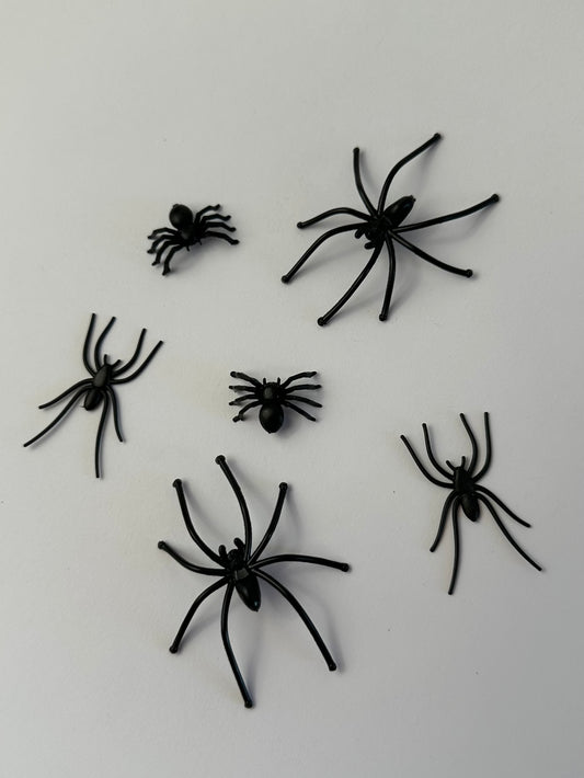 Spiders