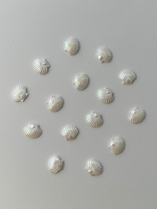 Seashells